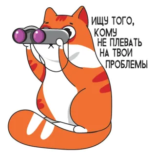 😏 8203d019 ИЩУ ТОГО, КОМУ НЕ ПЛЕВАТЬ НА ТВОИ ПРОБЛЕМЫ gatto, binocolo, arancione, cartone animato telegram sticker