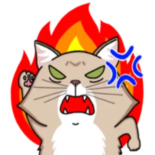 Сомалийский кот @StikerDi telegram stickers