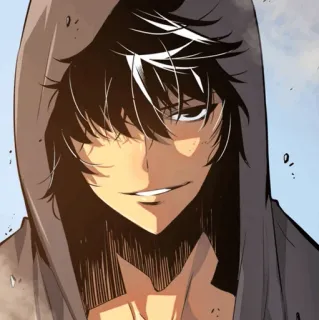 🕳 0e52ce7e Anime, Manga, Sudadera con capucha, Personaje, Sonriendo con sorna, Solo Leveling telegram sticker