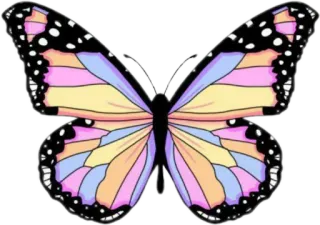 🦋 11f966a2 蝴蝶, 粉彩, 彩色, 自然, 昆虫, 翅膀 whatsapp sticker