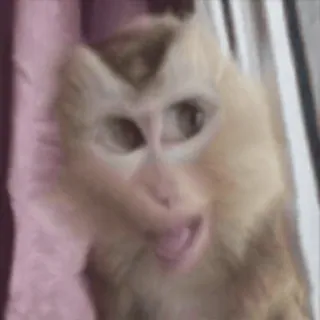 Создатель - @solowiin :: @fStikBot telegram stickers