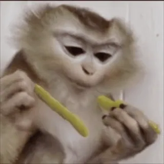 🌟 16e5c0ee monyet, hewan, primata, stiker telegram sticker