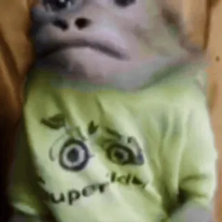 🌟 743b1291 super id monyet, hewan, kaos, ID super telegram sticker