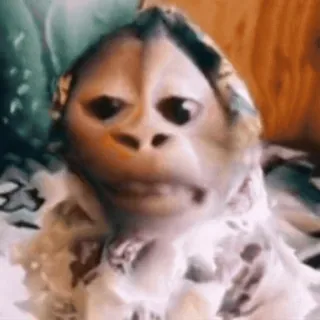 🌟 8e65d8b8 telegram sticker