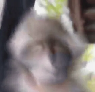 🌟 b357dfe2 telegram sticker