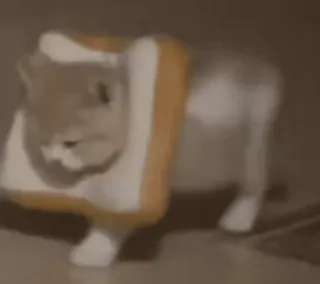 🐱 1ff8bdc5 kot, chleb, śmieszne, zwierzę, zwierzak, mem, lol telegram sticker