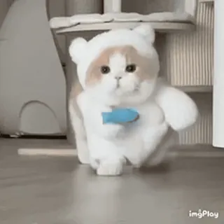 🐱 a4e4c92a kot, kociak, zwierzę domowe, zwierzę, słodki, kostium, ryba telegram sticker