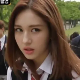 ✨ 9b5e45cf telegram sticker