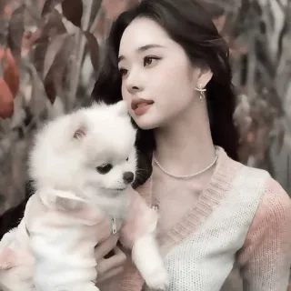 🕰 cd28600b 女人, 狗, 肖像, 可爱, 宠物, 户外 telegram sticker