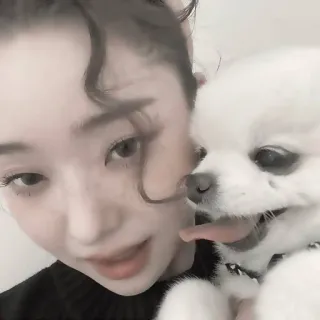 🕰 ed00333c 女人, 狗, 可爱, 自拍, 宠物, 肖像 telegram sticker