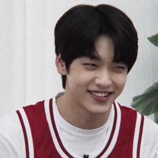 🎐 57962039 Person, Porträt, lächelnd, männlich whatsapp sticker