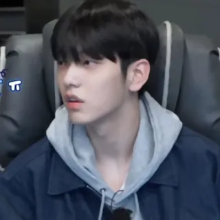 🦈 08d1df90 telegram sticker