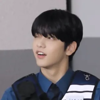 🦈 257a491e telegram sticker