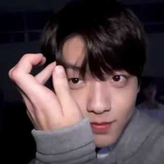 🦈 47747829 telegram sticker