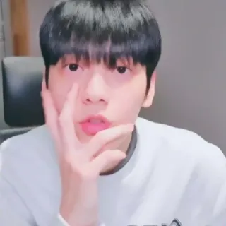 🦈 8598f6a1 telegram sticker