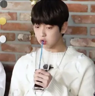 🦈 960f0e9c telegram sticker