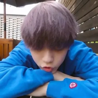 🦈 a270d058 telegram sticker