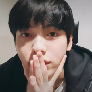 🦈 a37673fb telegram sticker