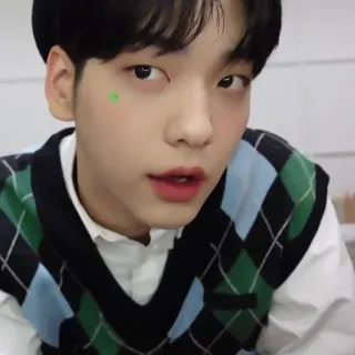 🦈 b117ad4c telegram sticker