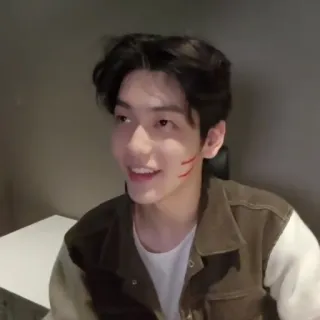 🦈 b4393d61 telegram sticker