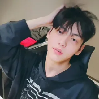 🦈 c678654e person, männlich, drinnen, porträt, mann telegram sticker