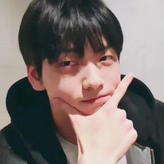 🦈 d442714a telegram sticker