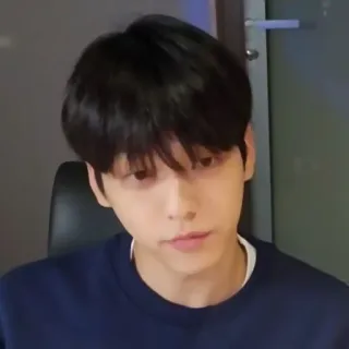 🦈 e0858d9f telegram sticker