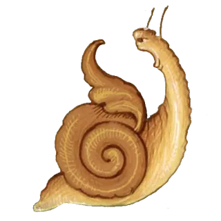 😠 0dc0d44f 蜗牛, 动物, 贝壳, 腹足动物, 自然 telegram sticker