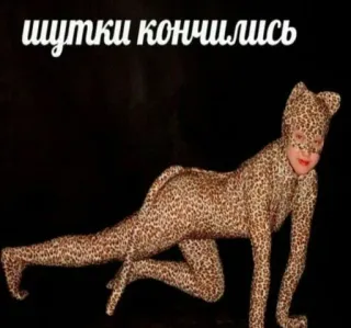 😺 31818298 шутки кончились Luipaardprint, Kattenpak, Dierenprint, Russische tekst, Luipaard, Dier telegram sticker