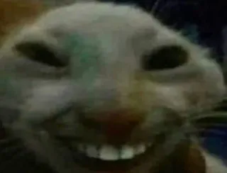 🐱 9d62b5dd dier, konijn, meme, grappig, griezelig, raar telegram sticker