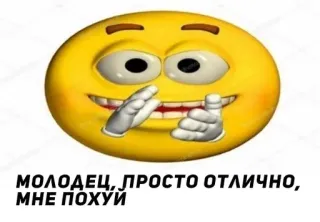 😑 e9124545 МОЛОДЕЦ, ПРОСТО ОТЛИЧНО, МНЕ ПОХУЙ Emoji, Meme, Sarcastisch, Russisch, Belediging telegram sticker