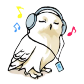 🎧 21a114bd gufo, cuffie, musica, carino, animale, adesivo telegram sticker