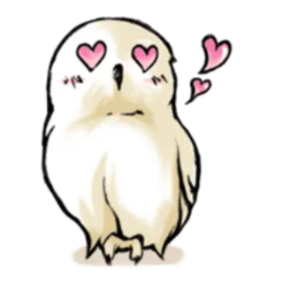 😍 8136a63f gufo, carino, cuore, amore, animale telegram sticker