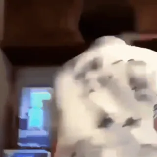 🕳 65aa8525 telegram sticker