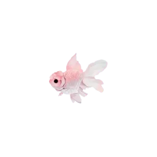 🐠 28db0807 Goldfisch, rosa, Fisch, Tier, Haustier, Wasser telegram sticker