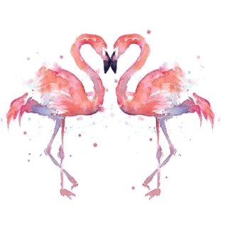 🌿 4e76713f Flamingo, Vögel, Liebe, Aquarell, Tiere, Tropisch, Rosa telegram sticker