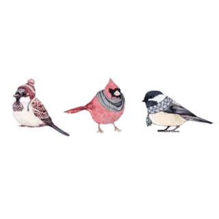 🐦 58125a85 Vögel, Winter, Mützen, Schals, Tiere telegram sticker