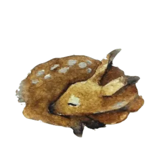 💤 a674bdd5 Hirsch, Tier, Rehkitz, schlafend, Aquarell, niedlich, Wald, Natur telegram sticker