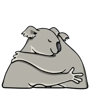 🐨 d71e97ab Koala, Umarmung, süß, Tier, Säugetier, Australien telegram sticker