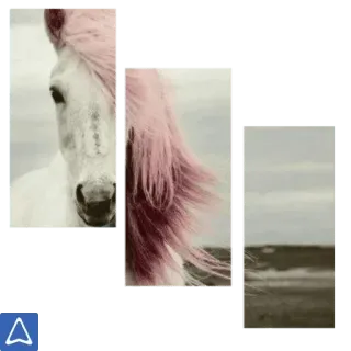 🦄 f27203d1 Pferd, Tier, Pferdeartig, Rosa, Mähne, Weiß, Meer telegram sticker