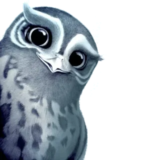 😊 fa44a634 Eule, Vogel, Tier, Aufkleber, niedlich, Cartoon telegram sticker