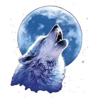 @wisdom_droplets A Animals — @stckrRobot telegram stickers