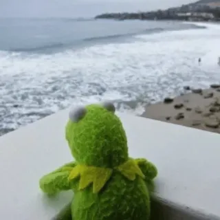 🥺 fb27255c Kermit the Frog 커밋, 개구리, 머펫, 해변, 바다 whatsapp sticker