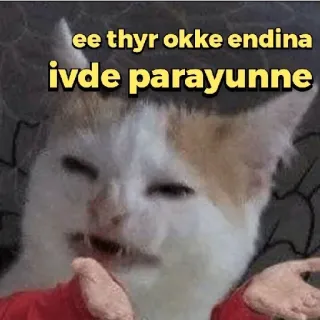 😂 1569ea1b ee thyr okke endina ivde parayunne chat, mème, drôle, animal whatsapp sticker