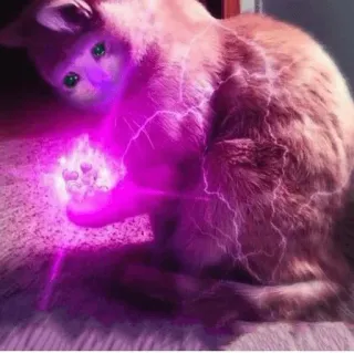 😩 136f3502 cat, magic, lightning, animal, pet telegram sticker