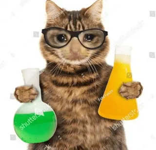 😩 4631233b cat, science, scientist, lab, experiment, glasses, chemistry telegram sticker