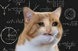 😩 55e48568 cat, meme, crying, math, equations telegram sticker