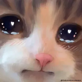 😩 8ce24ea7 cat, sad, crying, kawaii, cute telegram sticker