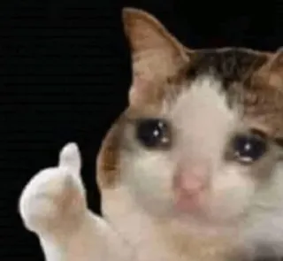 😩 ae3a185d cat, sad, thumbs up, meme, animal, crying telegram sticker