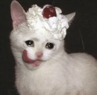 😩 bbf74683 cat, sad, crying, cherry, whipped cream telegram sticker